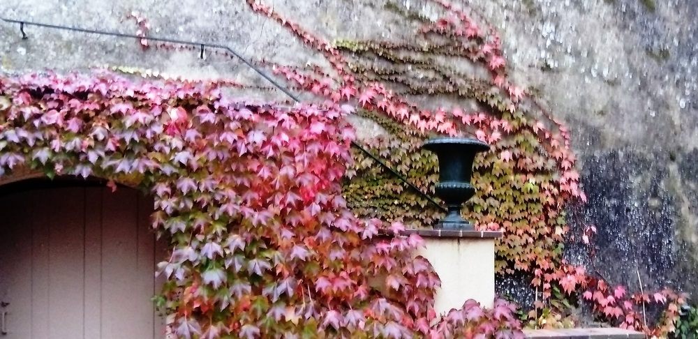 quatre saisons automne