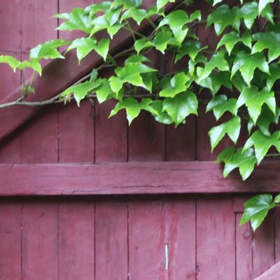 garden-door-Gerda-Hartman